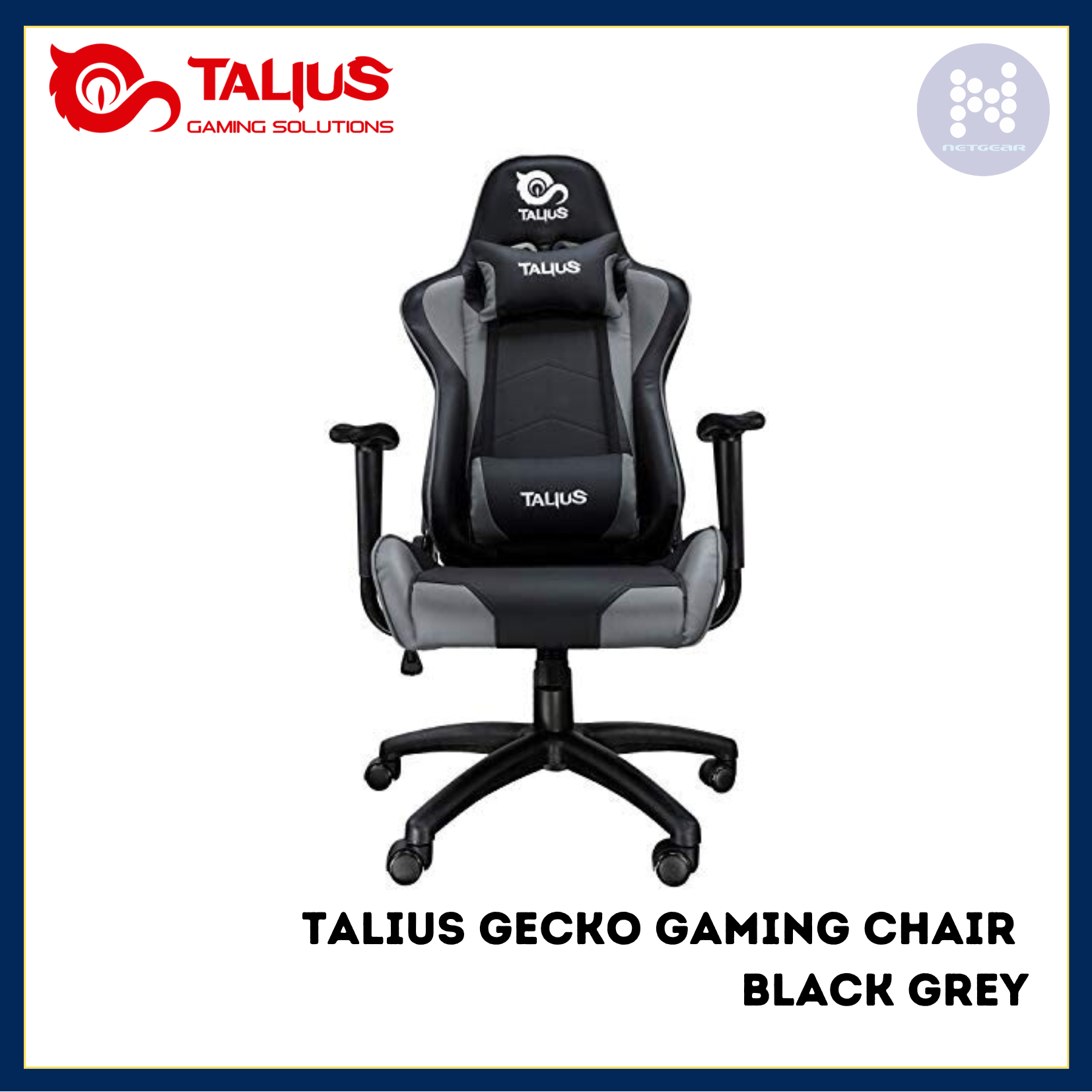 Netgear Gibraltar LTD