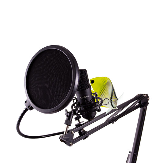 Coolbox podcast 03 microphone