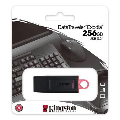 KINGSTON DATATRAVELER EXODIA USB 256GB FLASH DRIVE - netgear-gi